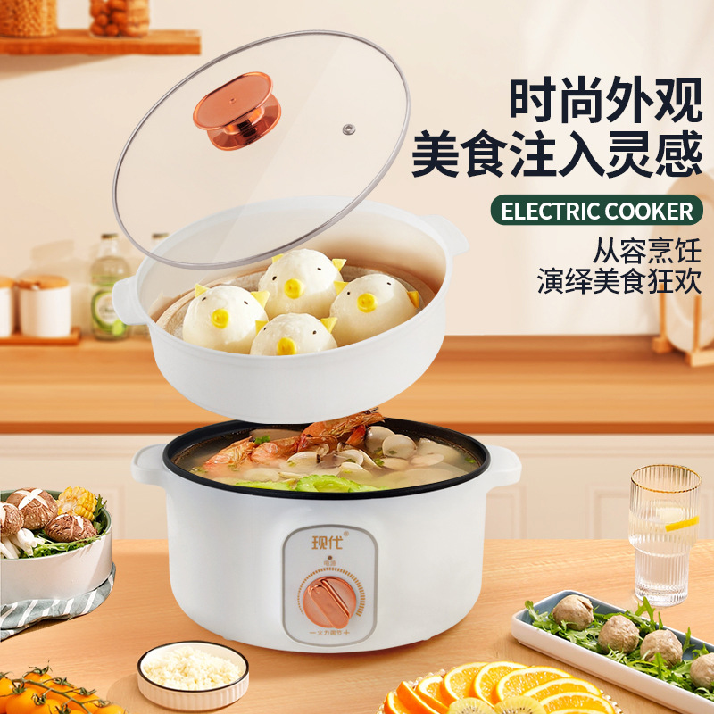 Multifunctional Mini Electric  - đánh giá và giá Kitchen Appliances For Cooking