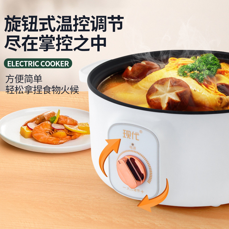 Multifunctional Mini Electric  - đánh giá và giá Kitchen Appliances For Cooking